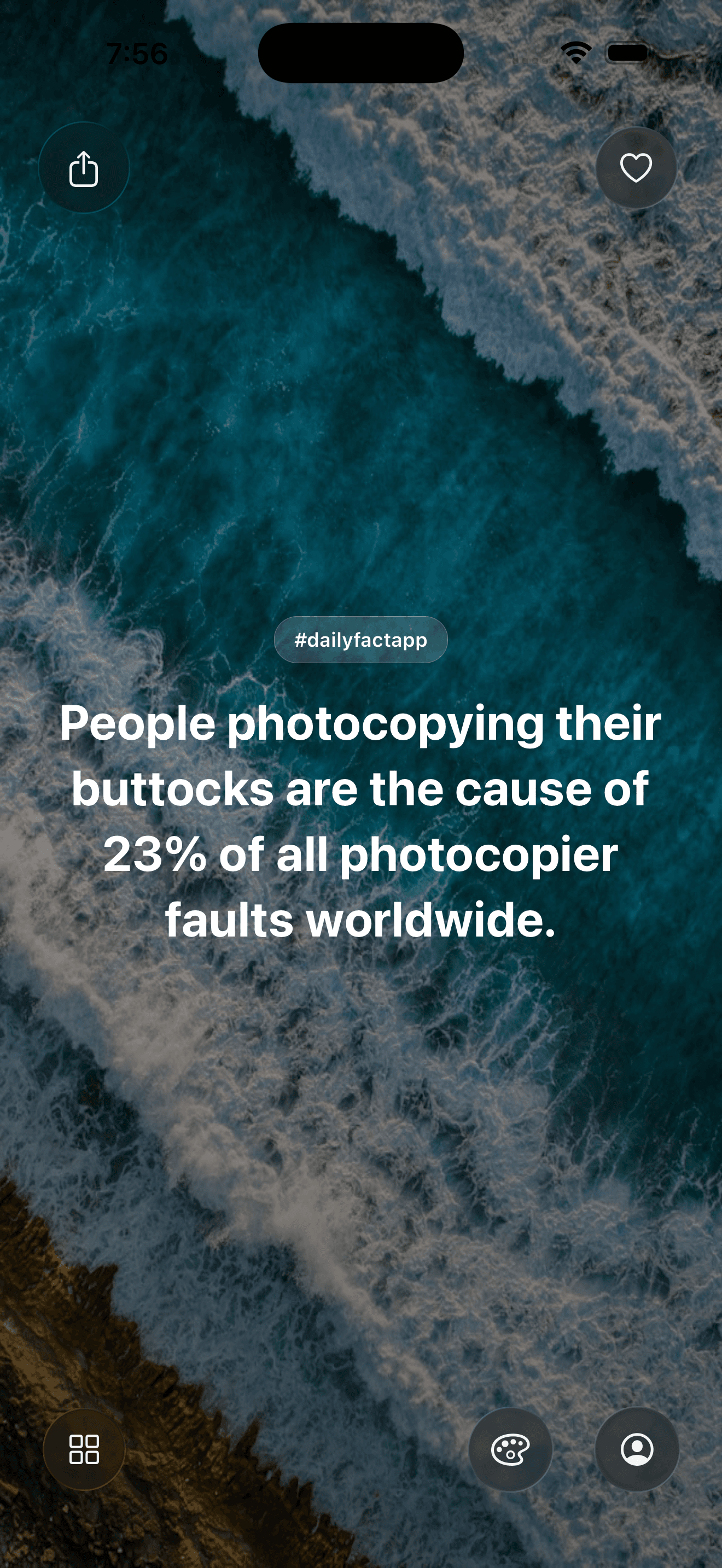 DailyFact card with an ocean theme